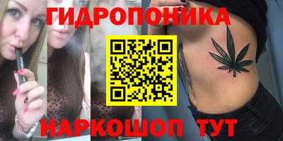 индика Конаково
