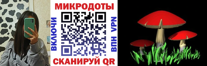 даркнет сайт  Кыштым  Псилоцибиновые грибы ЛСД 