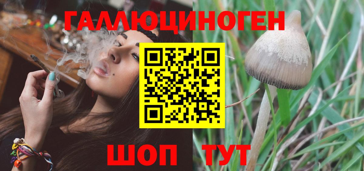 Кыштым  Псилоцибиновые грибы MAGIC MUSHROOMS  Псилоцибиновые грибы мицелий  где купить наркотик  Вход с VPN 