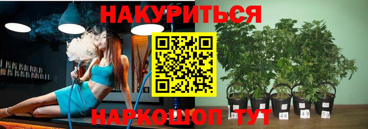 Бошки Шишки конопля  Вход с VPN  Кыштым  Бошки Шишки Ganja  Конопля конопля 